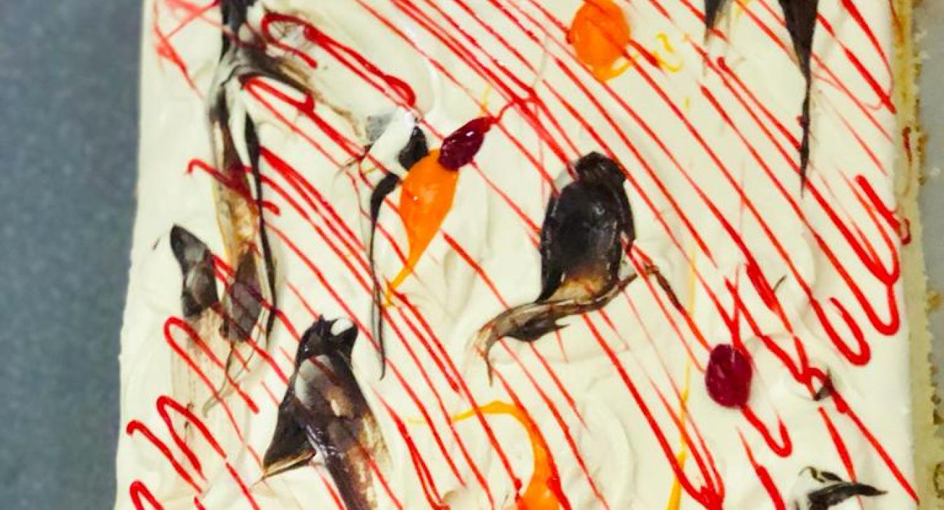 Cours de COMMIS PATISSERIE (Gateau)