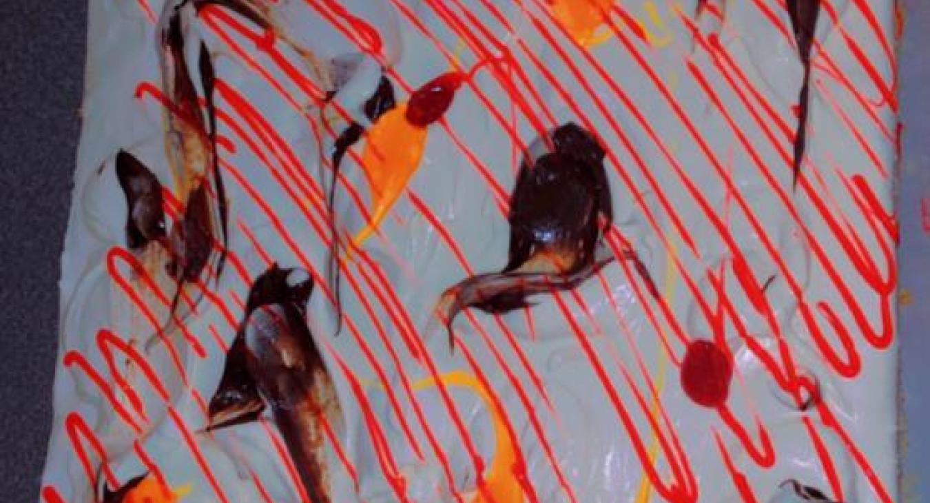Cours de COMMIS PATISSERIE (Gateau)